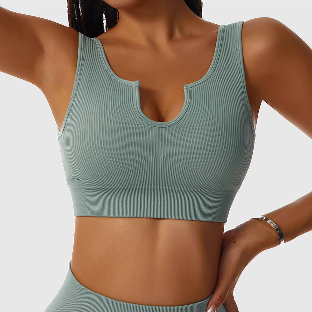 Sierra - Shaping Ribbet Workout Crop Top