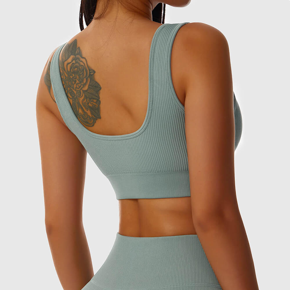 Sierra - Shaping Ribbet Workout Crop Top