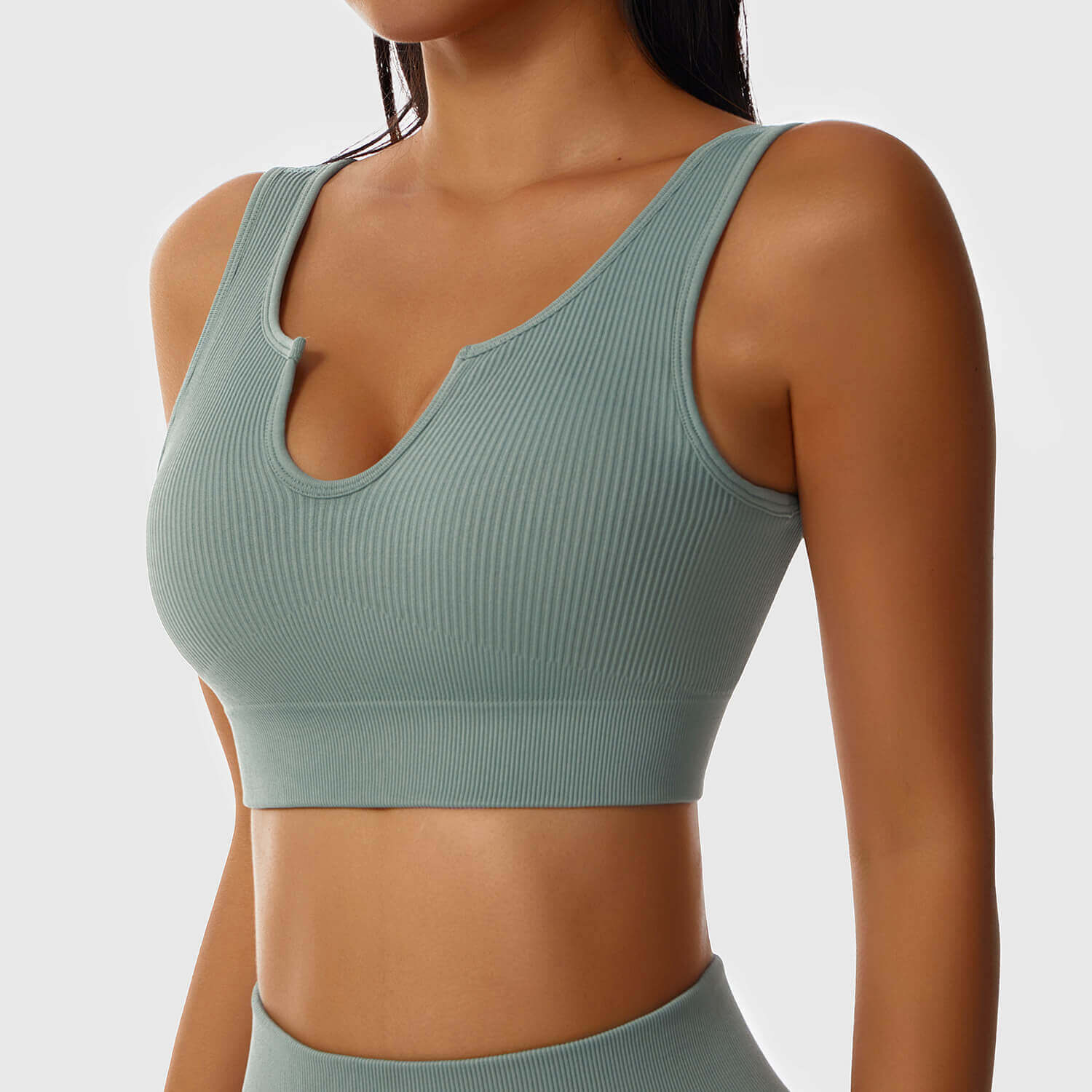 Sierra - Shaping Ribbet Workout Crop Top